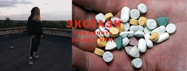 хмурый Няндома