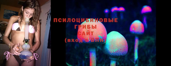 PSILOCYBIN Богородск