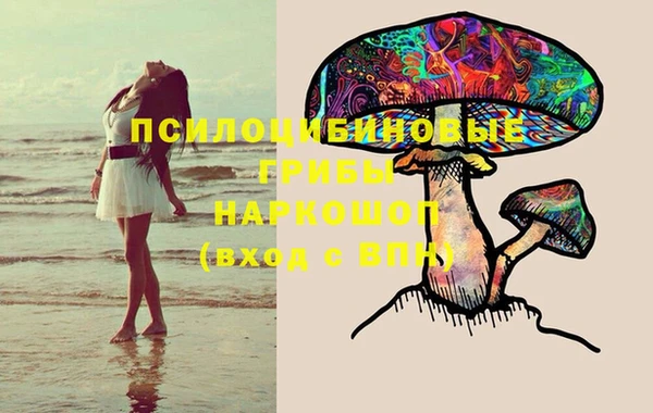 тгк Новодвинск