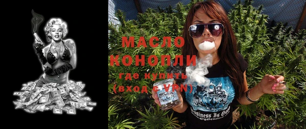 тгк Новодвинск