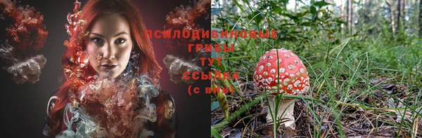 ешки Болохово