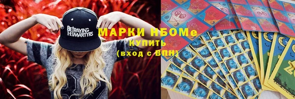 бошки Новозыбков