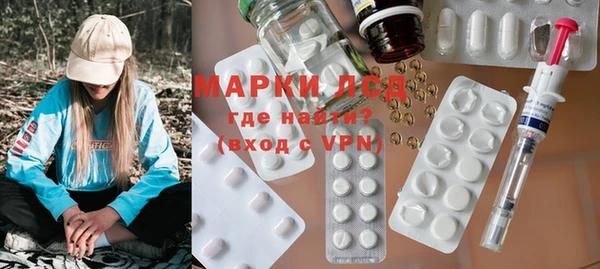 хмурый Няндома