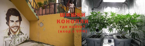 бошки Новозыбков