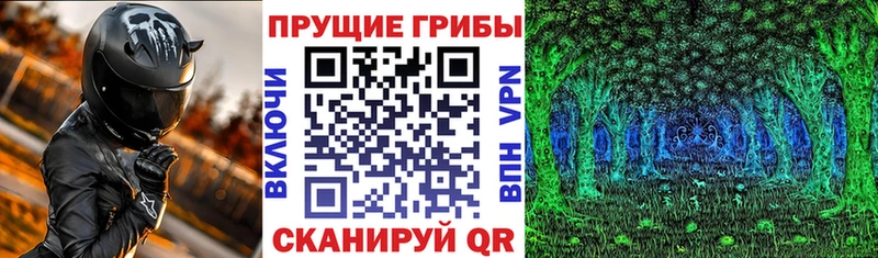 Псилоцибиновые грибы мицелий  Нововоронеж 