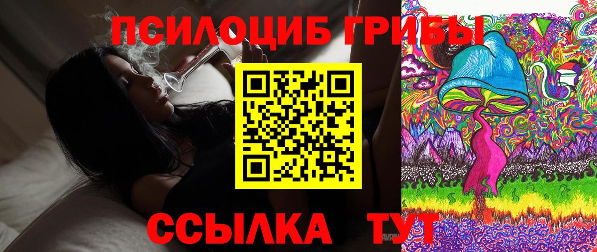Галлюциногенные грибы Magic Shrooms  купить  цена  Нововоронеж 